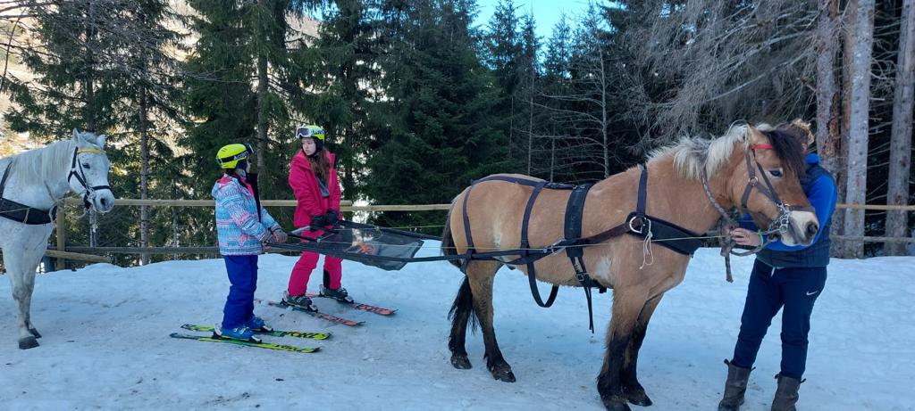 enfants qui font du ski joering