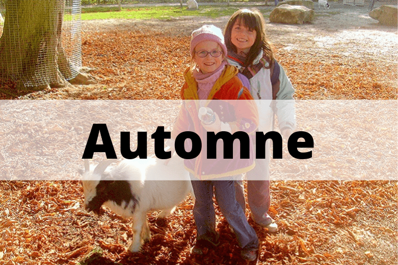 Automne