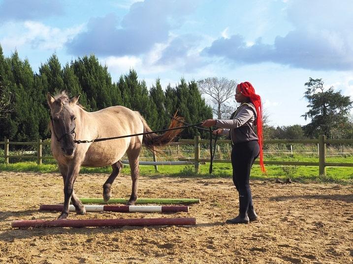 Cheval avec monitrice d'équitation