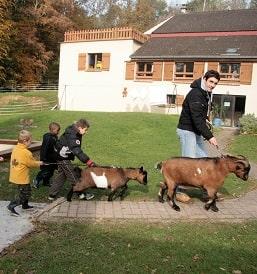 première découverte animal