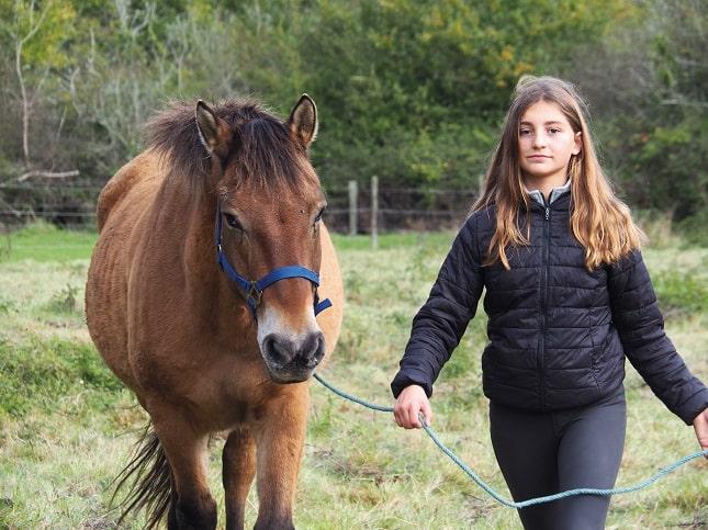 Ado avec cheval