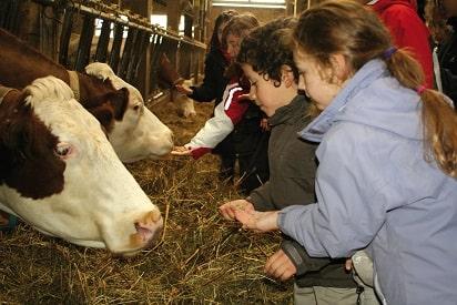 ferme à la montagne