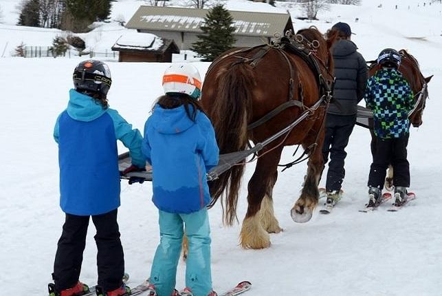 ski joering au grand bornand