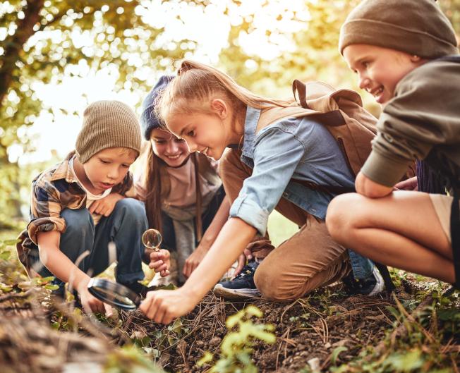 enfants qui étudient la forêt