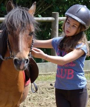 enfant qui s'occupe d'un poney