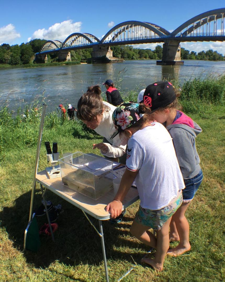 Atelier faune sauvage Loire
