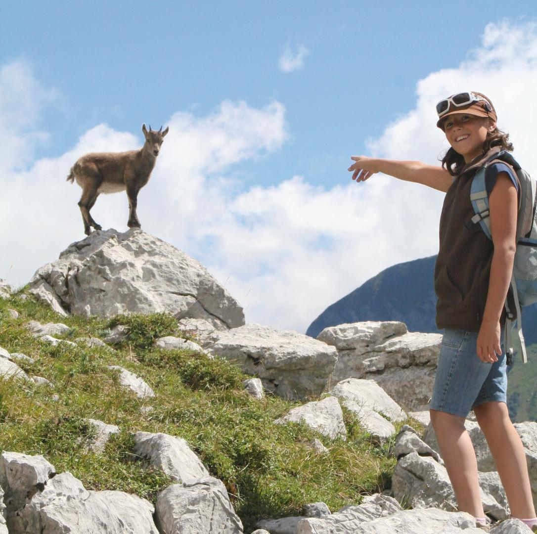 Voyage scolaire pour étudier la faune, la flore et le patrimoine des territoires montagnards