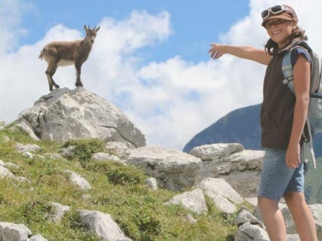 Voyage scolaire pour étudier la faune, la flore et le patrimoine des territoires montagnards