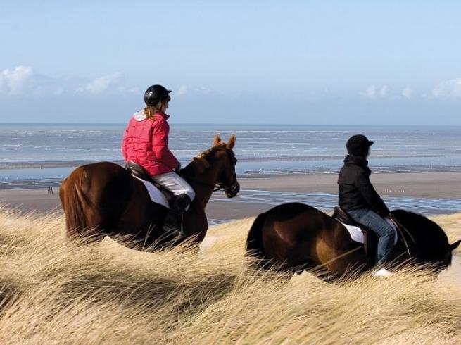 Stage d'équitation enfant, stage d'équitation ado