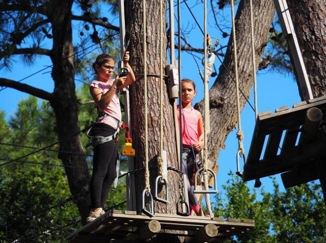 Enfants qui font de l'accrobranche