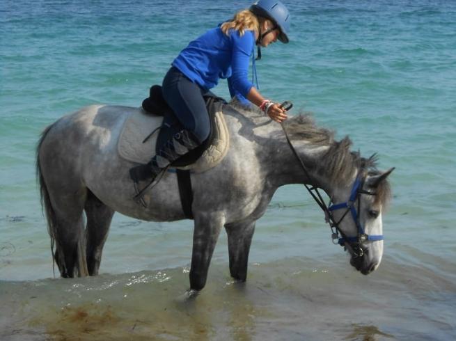 promenade a cheval dans la mer