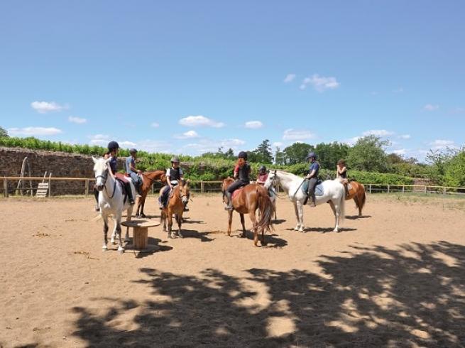 Activité équitation colo belle ile