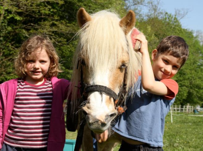 élèves avec poney