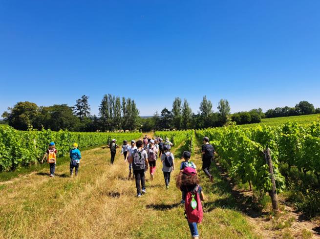 groupe d'enfants se promenant dans les vergers