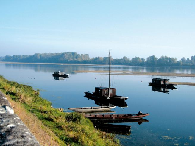 Paysage Loire