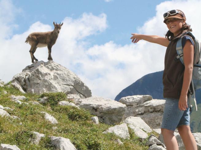 Voyage scolaire pour étudier la faune, la flore et le patrimoine des territoires montagnards