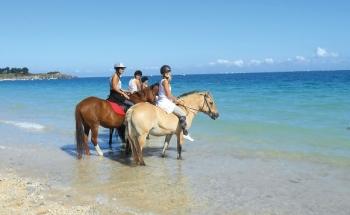Faire de l'équitation en colonie de vacances 