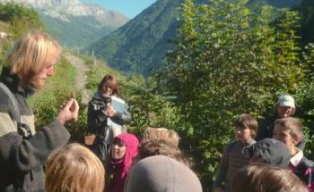 Découverte de la montagne en classe de découverte