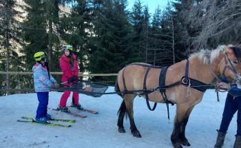 enfants qui font du ski joering